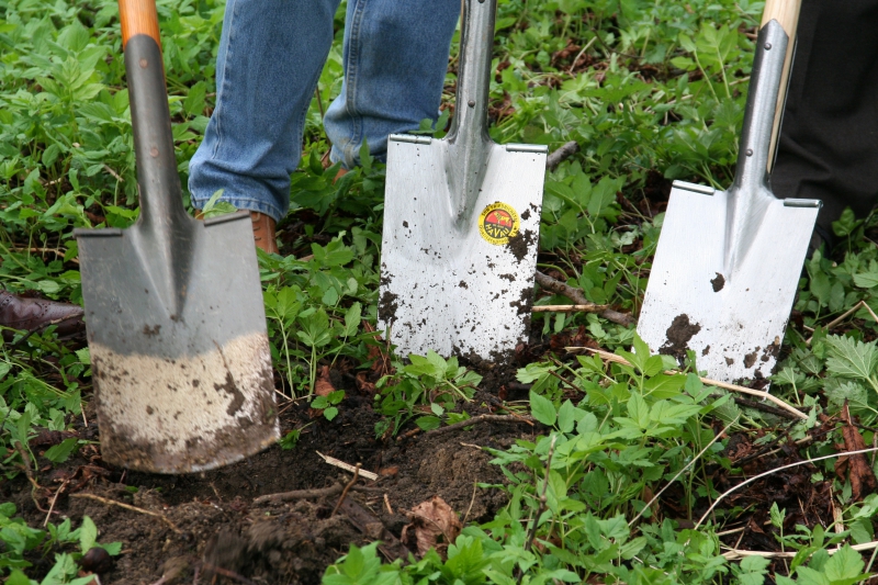 pepiniere-TAVERNES-min_work-lawn-flower-tool-green-backyard-1103633-pxhere.com